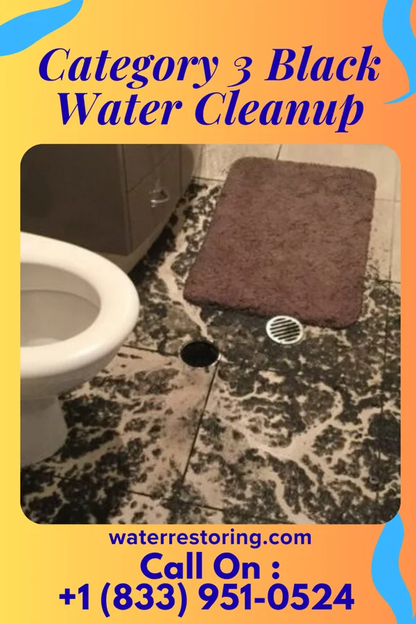 Category 3 Black Water Cleanup in Perla, AR